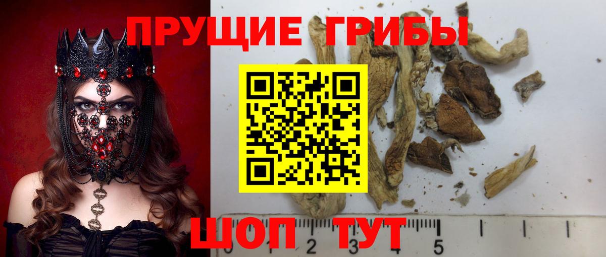 Псилоцибиновые грибы прущие грибы Ахтубинск