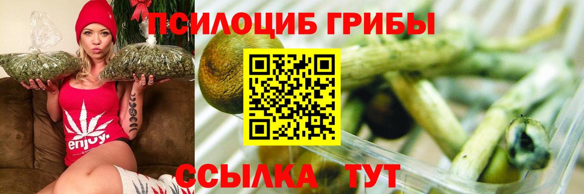 Ахтубинск  Галлюциногенные грибы GOLDEN TEACHER  Вход с VPN 